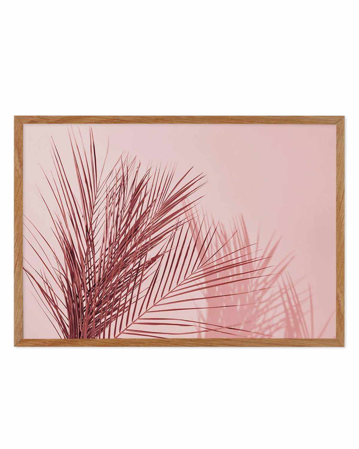 Ibiza Palms | LS Art Print