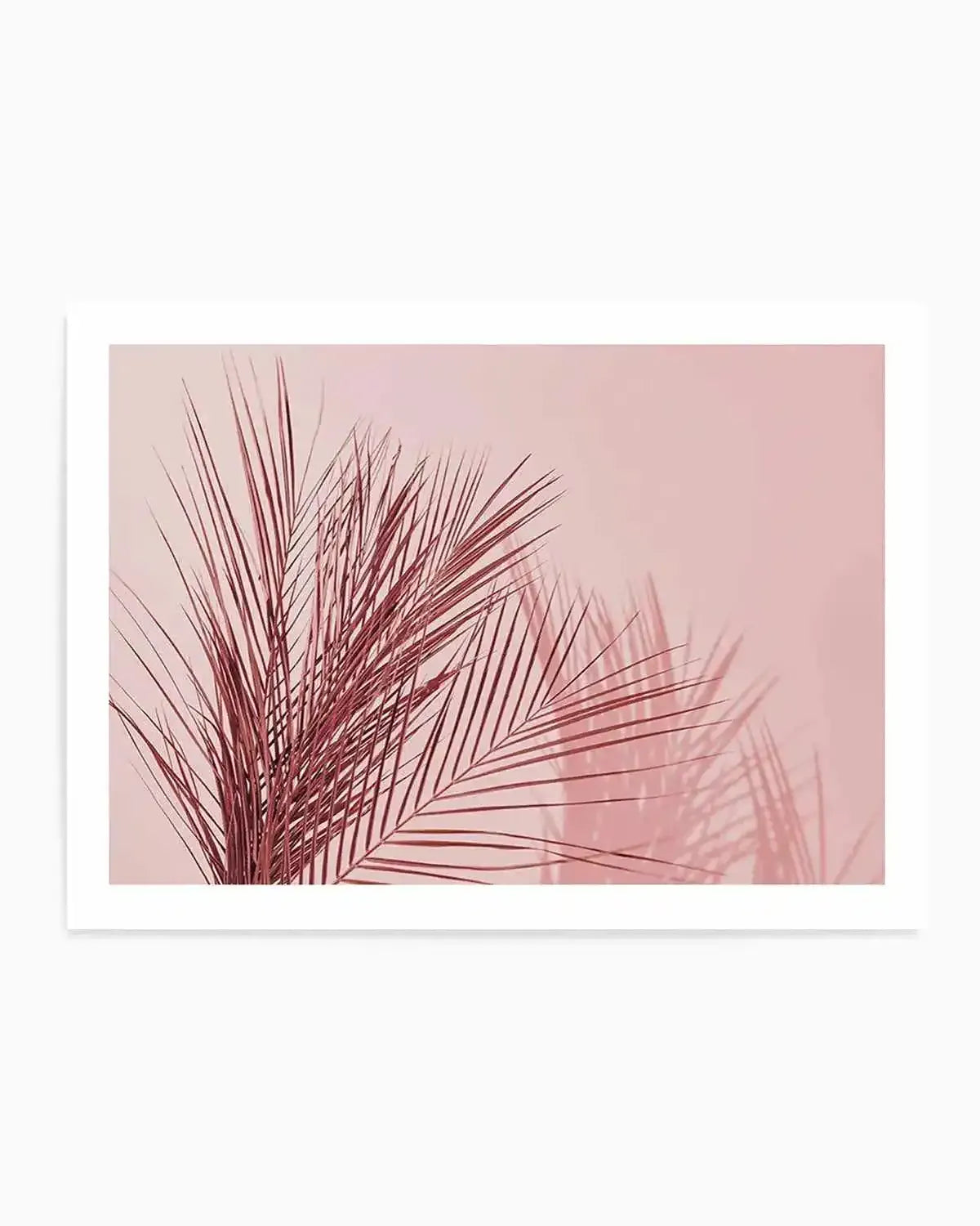 Ibiza Palms | LS Art Print from Olive et Oriel where you can shop wallpaper and artworks online