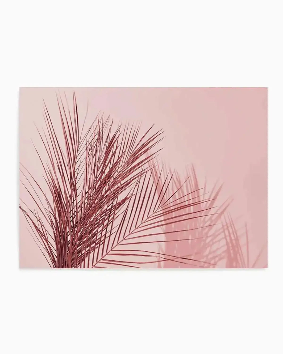 Ibiza Palms | LS Art Print from Olive et Oriel where you can shop wallpaper and artworks online
