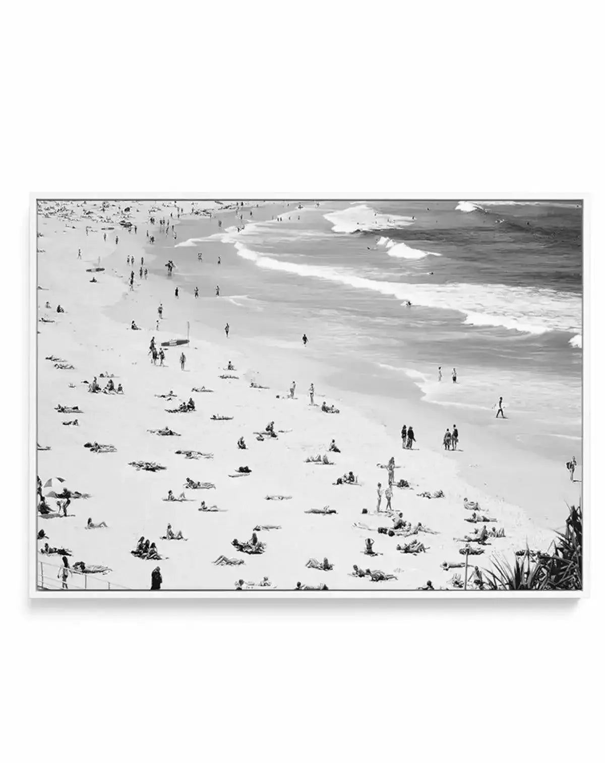 Iconic Bondi B&W | Framed Canvas-CANVAS-You can shop wall art online with Olive et Oriel for everything from abstract art to fun kids wall art. Our beautiful modern art prints and canvas art are available from large canvas prints to wall art paintings and our proudly Australian artwork collection offers only the highest quality framed large wall art and canvas art Australia - You can buy fashion photography prints or Hampton print posters and paintings on canvas from Olive et Oriel and have them