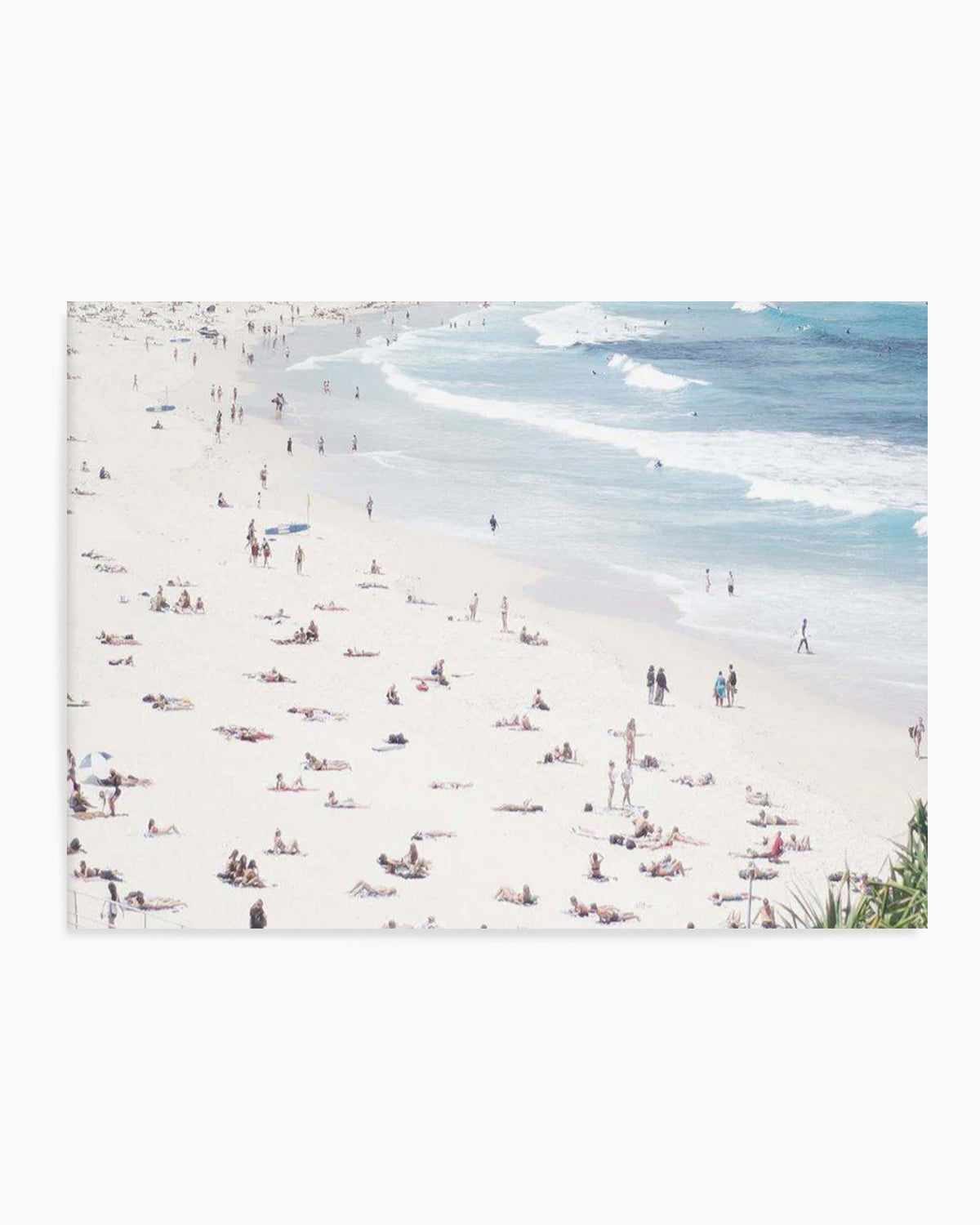 Iconic Bondi Colour | LS Art Print