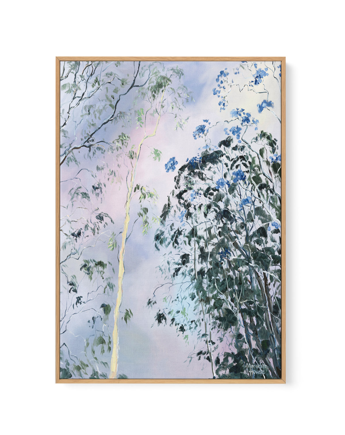 Illumination of Ashgrove Trees by Meredith Howse | Framed Canvas Art Print