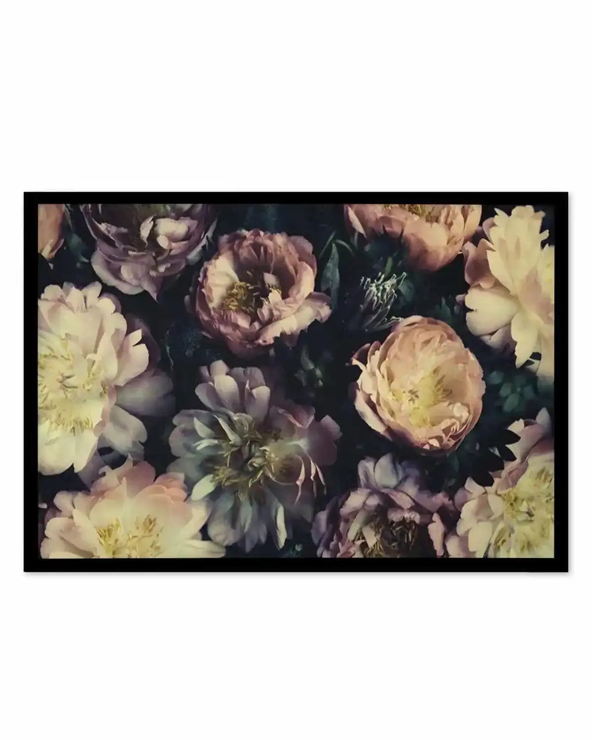 In Bloom Art Print from Olive et Oriel where you can shop wallpaper and artworks online