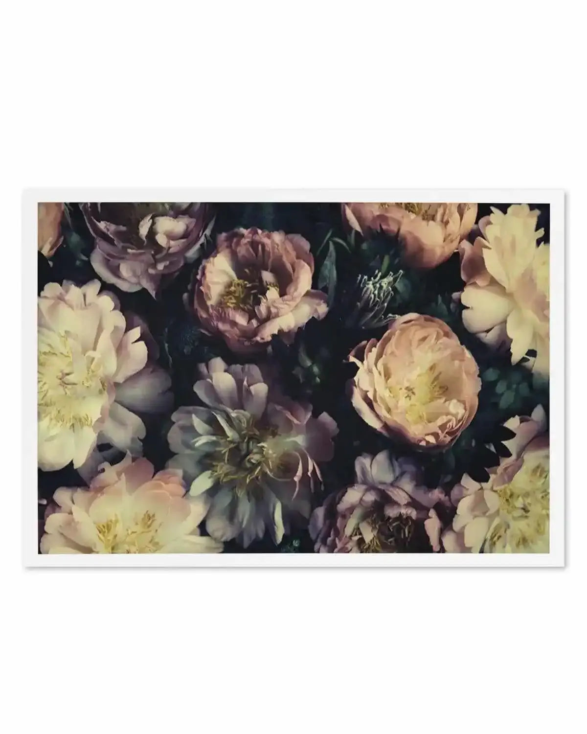In Bloom Art Print from Olive et Oriel where you can shop wallpaper and artworks online