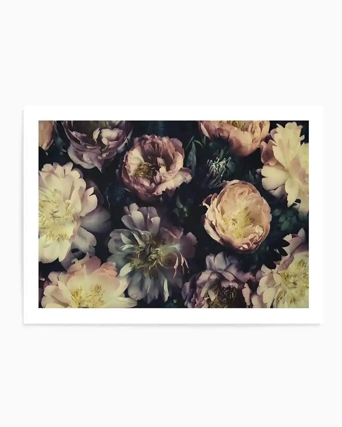 In Bloom Art Print from Olive et Oriel where you can shop wallpaper and artworks online