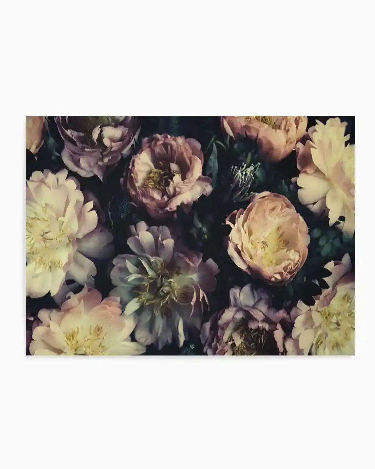 In Bloom Art Print from Olive et Oriel where you can shop wallpaper and artworks online