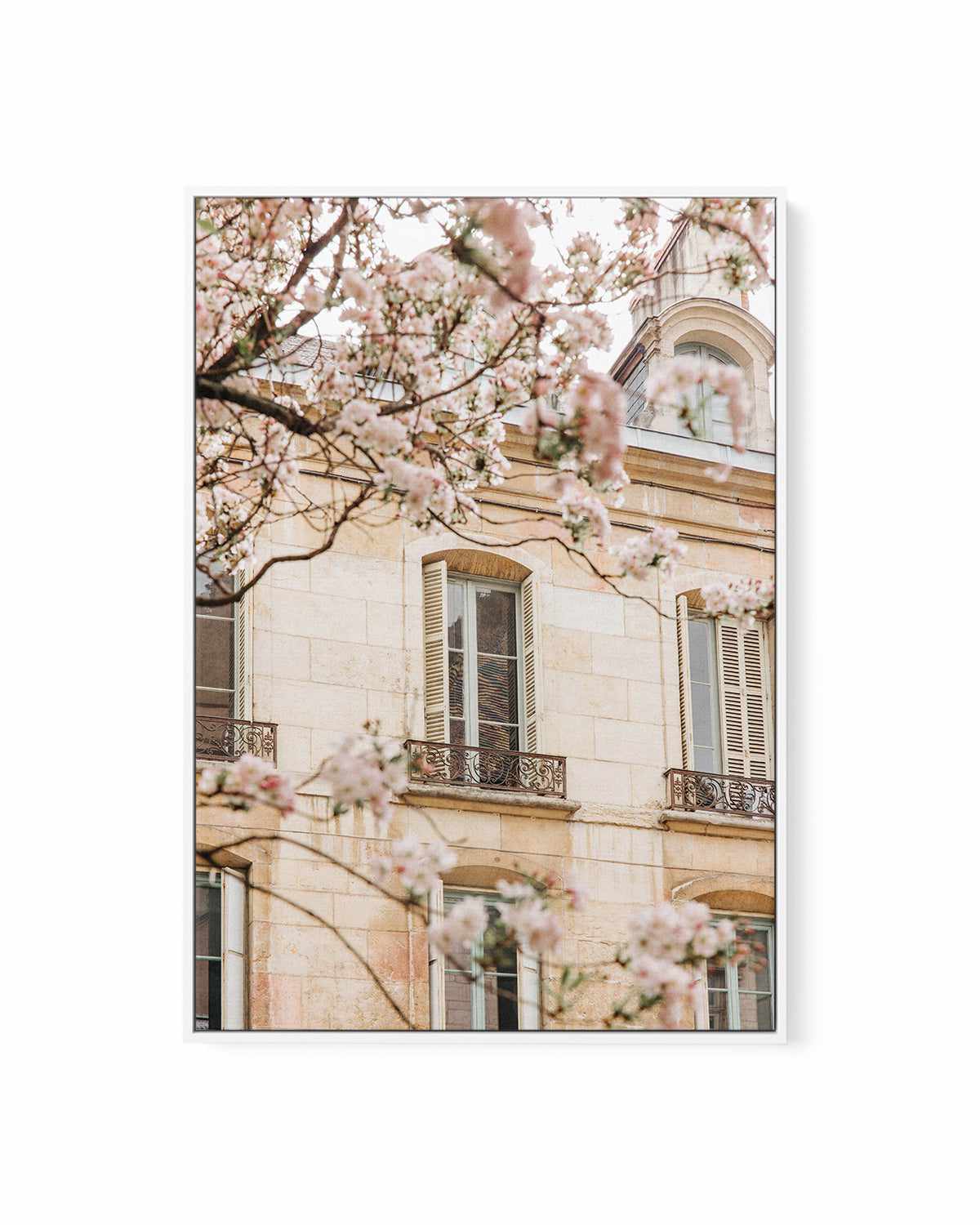 In Bloom by Jovani Demetrie | Framed Canvas Art Print