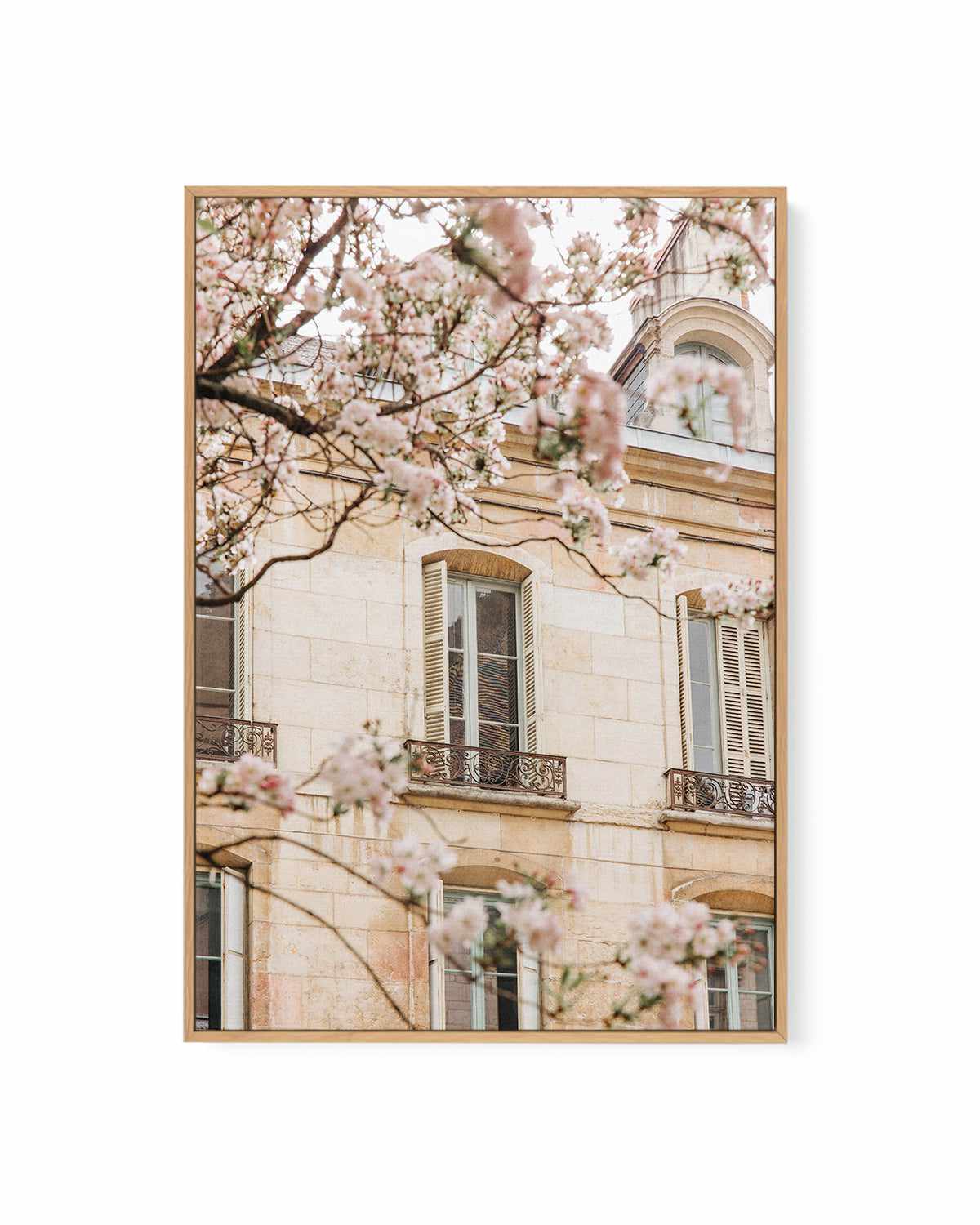 In Bloom by Jovani Demetrie | Framed Canvas Art Print