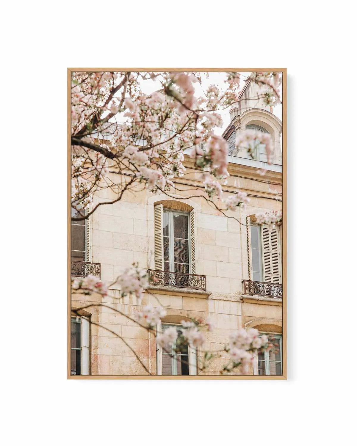 In Bloom by Jovani Demetrie | Framed Canvas Art Print from Olive et Oriel where you can shop wallpaper and artworks online