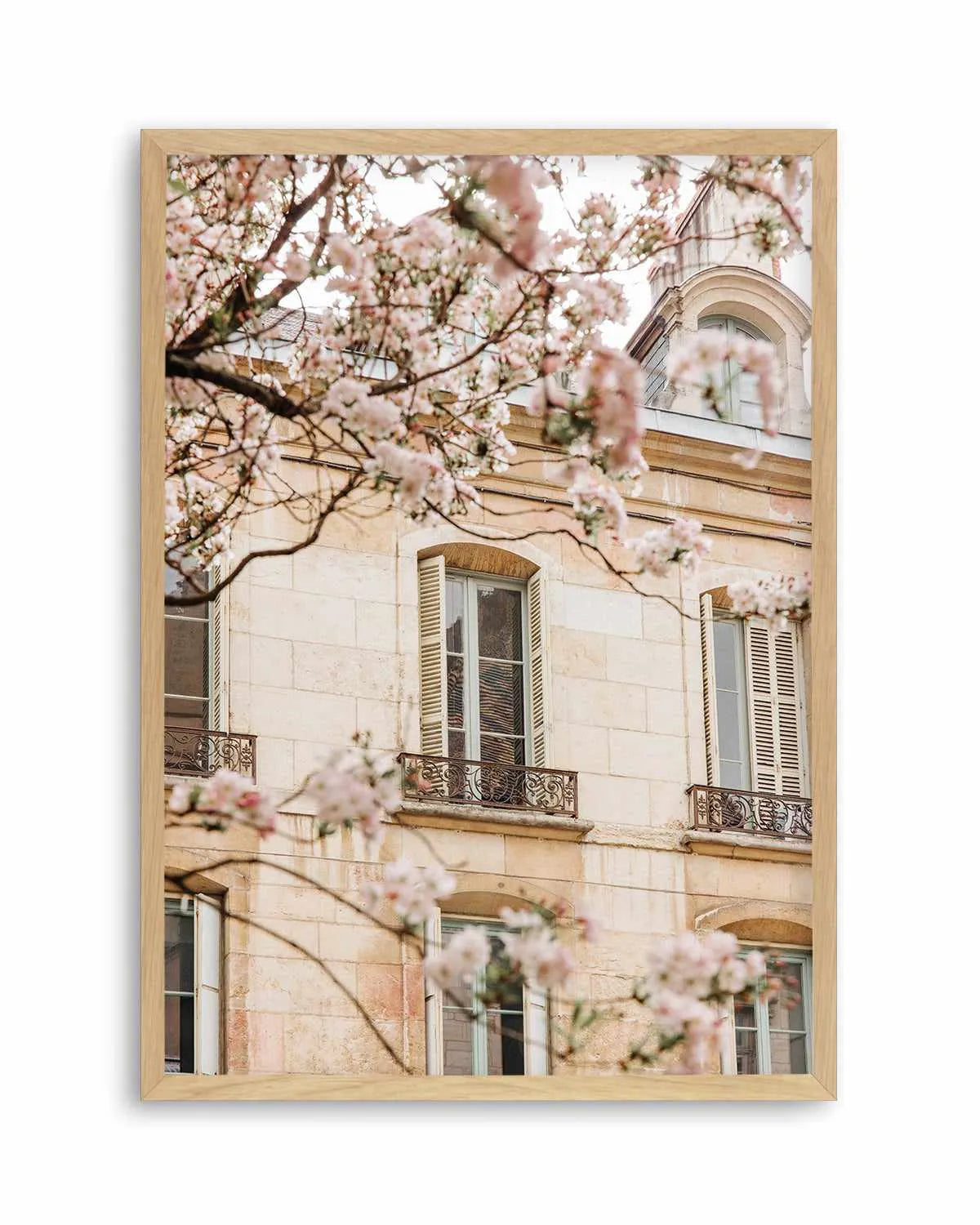 In Bloom by Jovani Demetrie Art Print from Olive et Oriel where you can shop wallpaper and artworks online