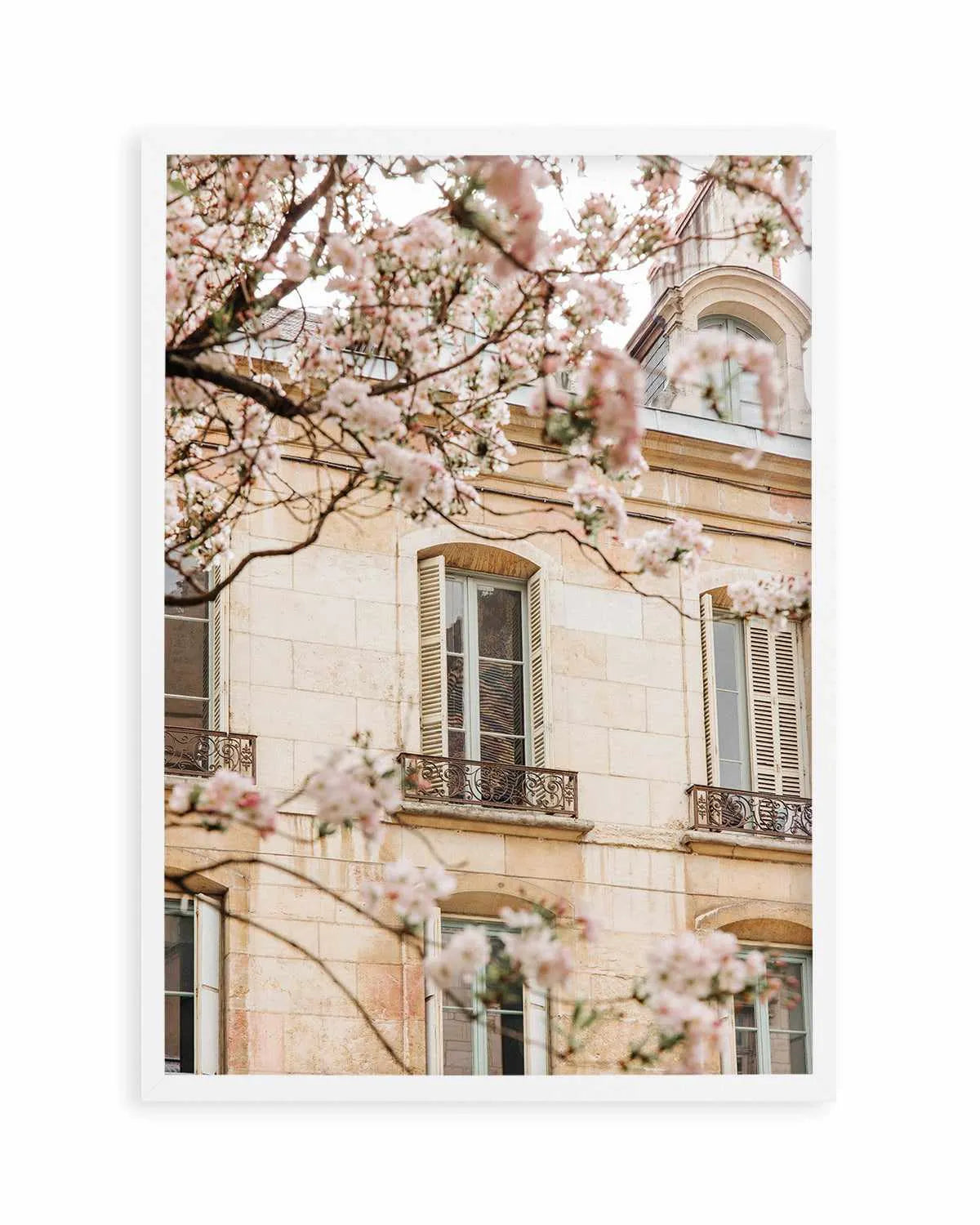 In Bloom by Jovani Demetrie Art Print from Olive et Oriel where you can shop wallpaper and artworks online