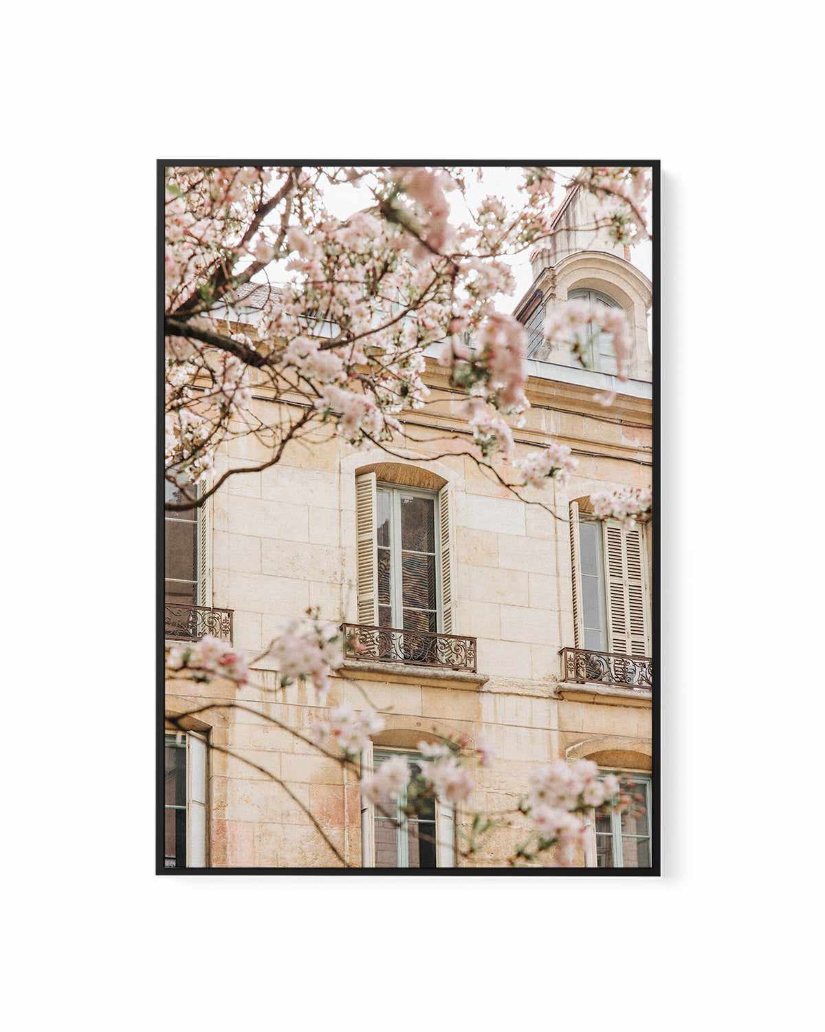 In Bloom by Jovani Demetrie | Framed Canvas Art Print