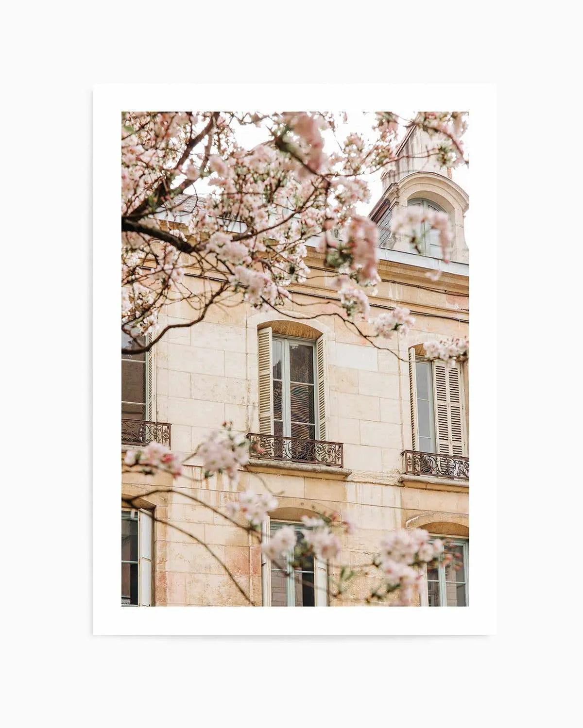 In Bloom by Jovani Demetrie Art Print from Olive et Oriel where you can shop wallpaper and artworks online