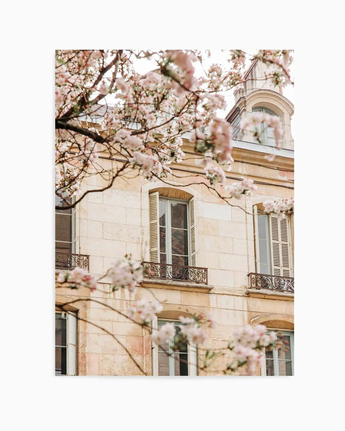 In Bloom by Jovani Demetrie Art Print from Olive et Oriel where you can shop wallpaper and artworks online