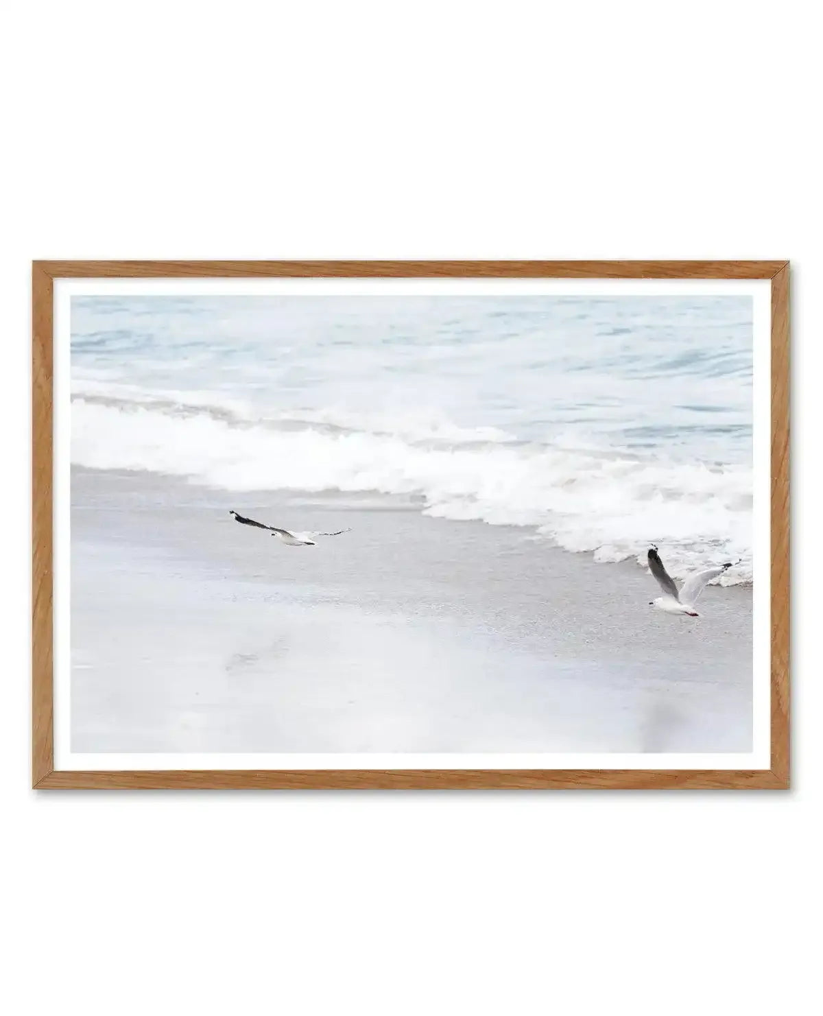 In Flight Art Print-PRINT-Olive et Oriel-Olive et Oriel-50x70 cm | 19.6" x 27.5"-Walnut-With White Border-Buy-Australian-Art-Prints-Online-with-Olive-et-Oriel-Your-Artwork-Specialists-Austrailia-Decorate-With-Coastal-Photo-Wall-Art-Prints-From-Our-Beach-House-Artwork-Collection-Fine-Poster-and-Framed-Artwork