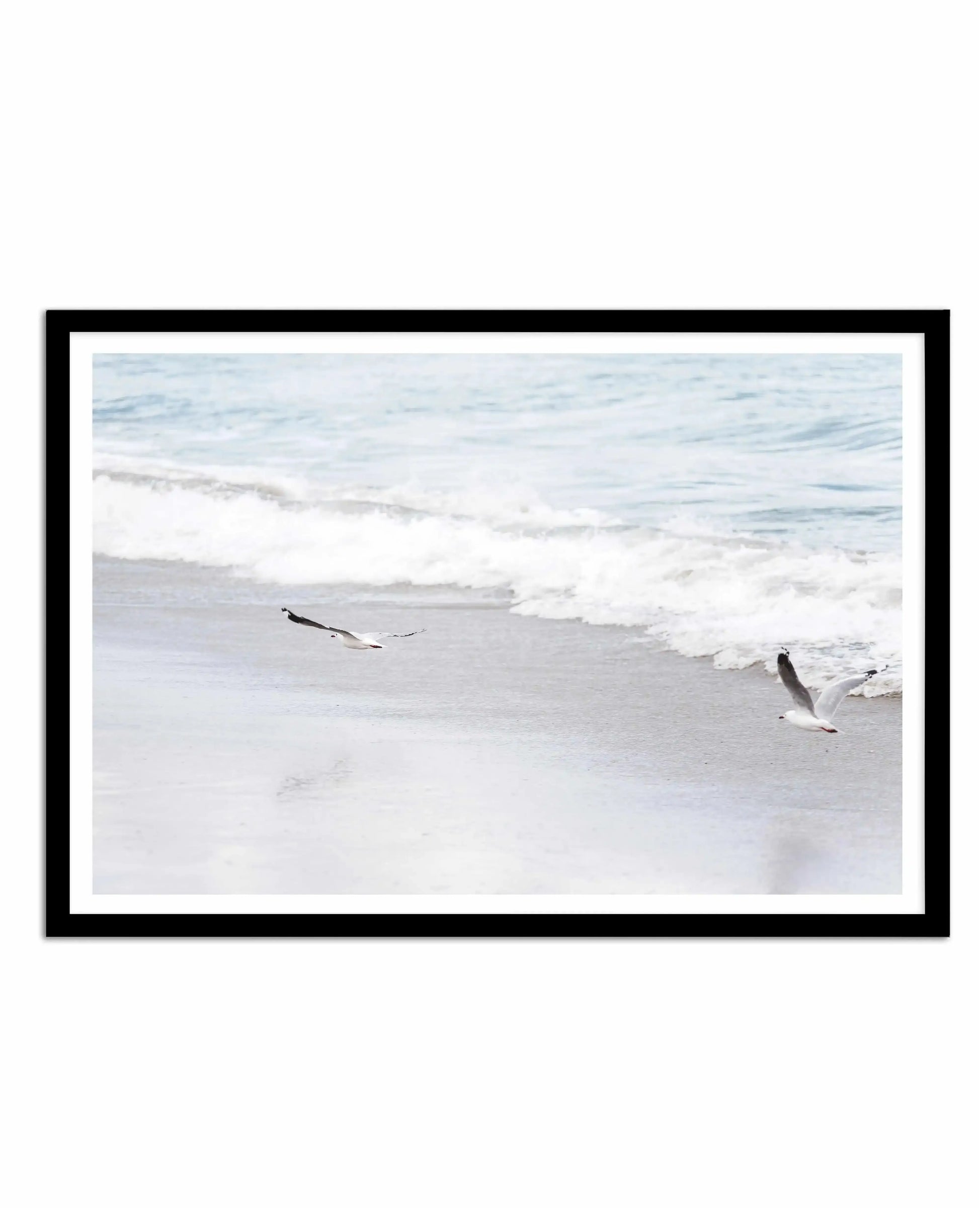 In Flight Art Print-PRINT-Olive et Oriel-Olive et Oriel-A4 | 8.3" x 11.7" | 21 x 29.7cm-Black-With White Border-Buy-Australian-Art-Prints-Online-with-Olive-et-Oriel-Your-Artwork-Specialists-Austrailia-Decorate-With-Coastal-Photo-Wall-Art-Prints-From-Our-Beach-House-Artwork-Collection-Fine-Poster-and-Framed-Artwork