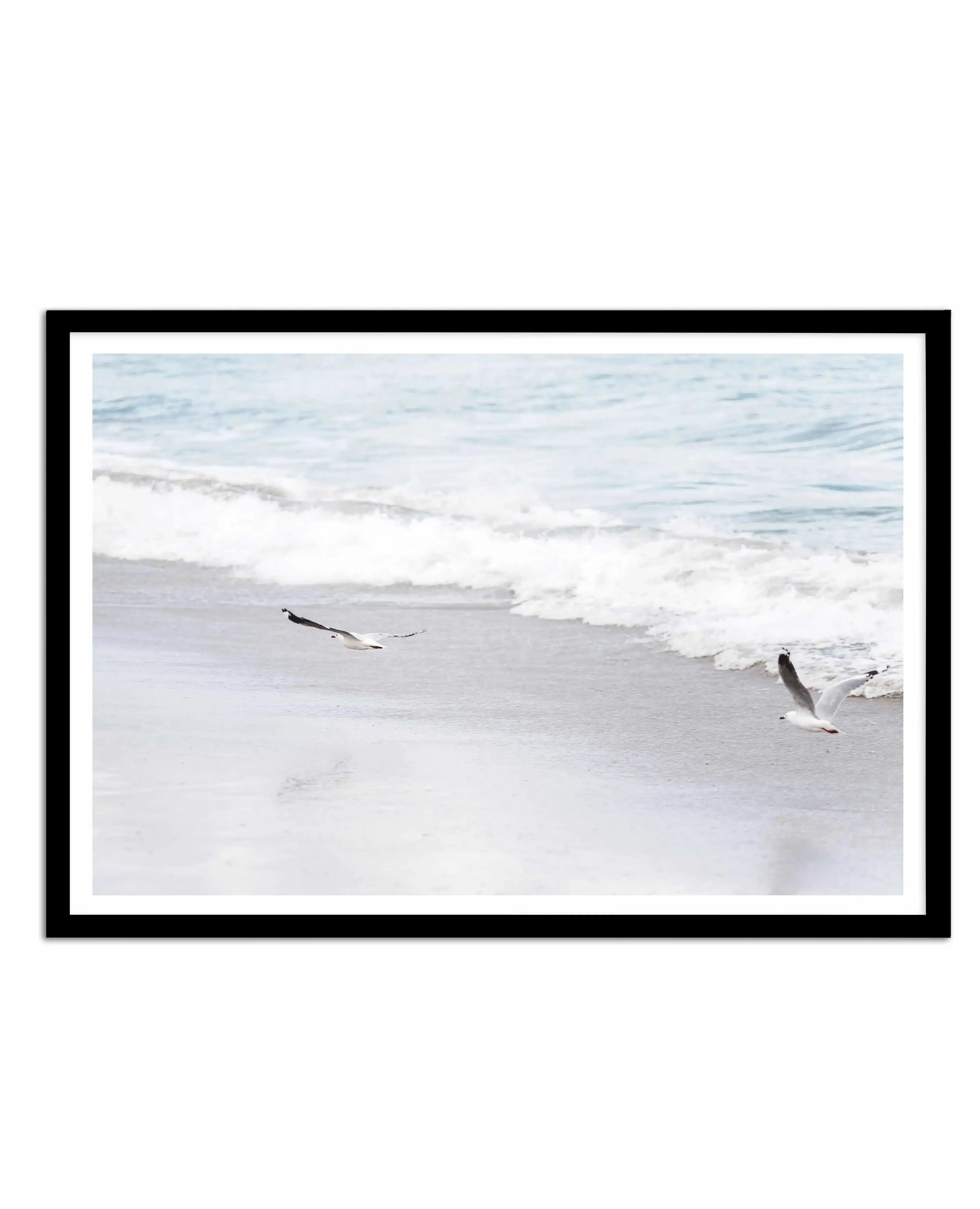 In Flight Art Print-PRINT-Olive et Oriel-Olive et Oriel-A4 | 8.3" x 11.7" | 21 x 29.7cm-Black-With White Border-Buy-Australian-Art-Prints-Online-with-Olive-et-Oriel-Your-Artwork-Specialists-Austrailia-Decorate-With-Coastal-Photo-Wall-Art-Prints-From-Our-Beach-House-Artwork-Collection-Fine-Poster-and-Framed-Artwork