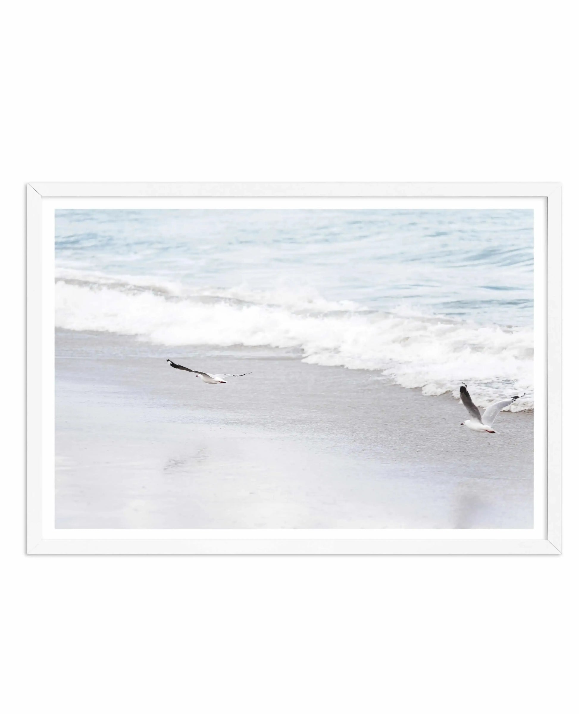 In Flight Art Print-PRINT-Olive et Oriel-Olive et Oriel-A4 | 8.3" x 11.7" | 21 x 29.7cm-White-With White Border-Buy-Australian-Art-Prints-Online-with-Olive-et-Oriel-Your-Artwork-Specialists-Austrailia-Decorate-With-Coastal-Photo-Wall-Art-Prints-From-Our-Beach-House-Artwork-Collection-Fine-Poster-and-Framed-Artwork