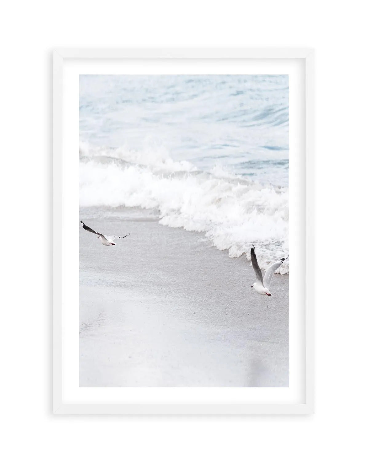 In Flight Art Print | PT-PRINT-Olive et Oriel-Olive et Oriel-A5 | 5.8" x 8.3" | 14.8 x 21cm-White-With White Border-Buy-Australian-Art-Prints-Online-with-Olive-et-Oriel-Your-Artwork-Specialists-Austrailia-Decorate-With-Coastal-Photo-Wall-Art-Prints-From-Our-Beach-House-Artwork-Collection-Fine-Poster-and-Framed-Artwork