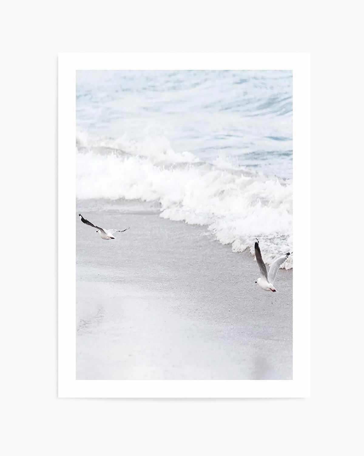 In Flight Art Print | PT