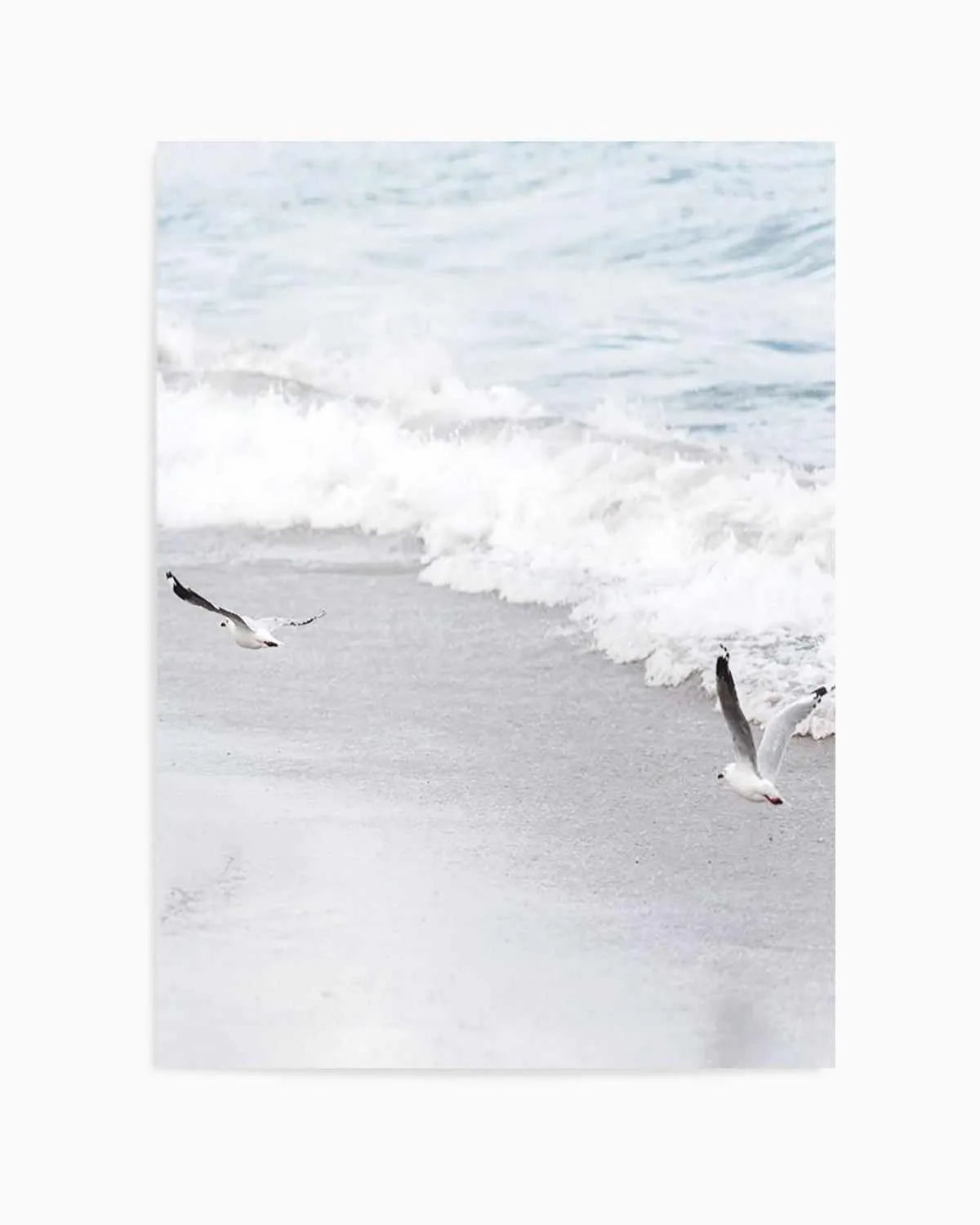 In Flight Art Print | PT from Olive et Oriel where you can shop wallpaper and artworks online