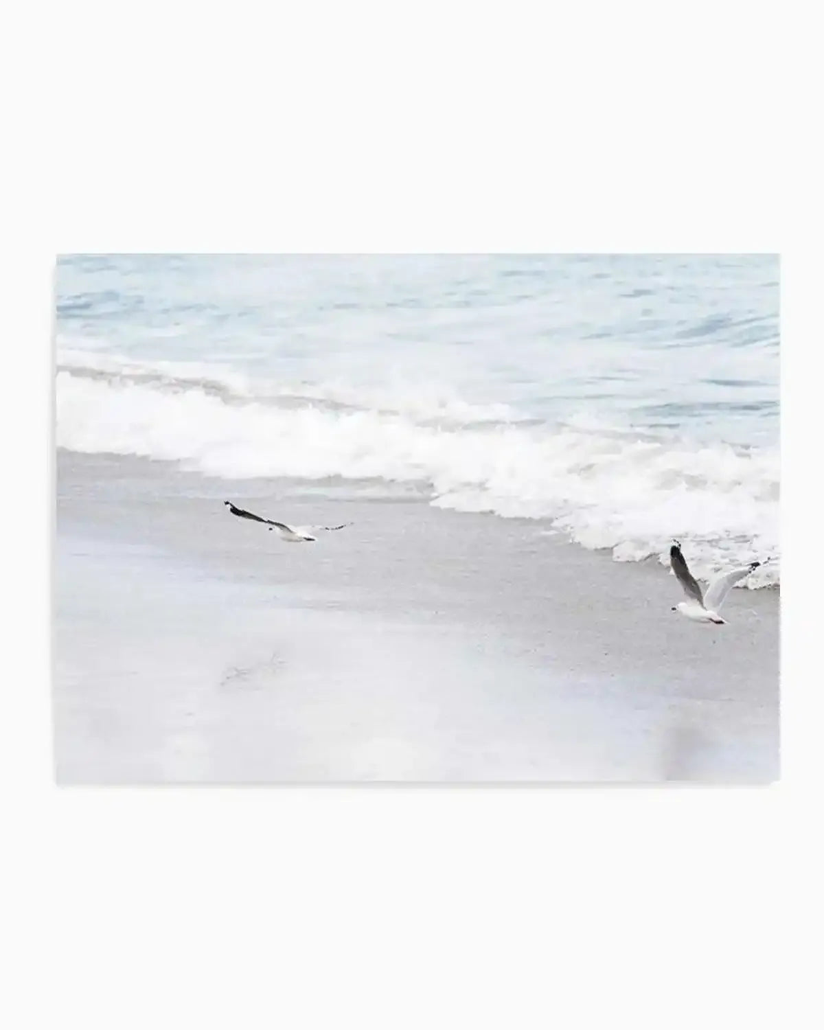 In Flight Art Print from Olive et Oriel where you can shop wallpaper and artworks online