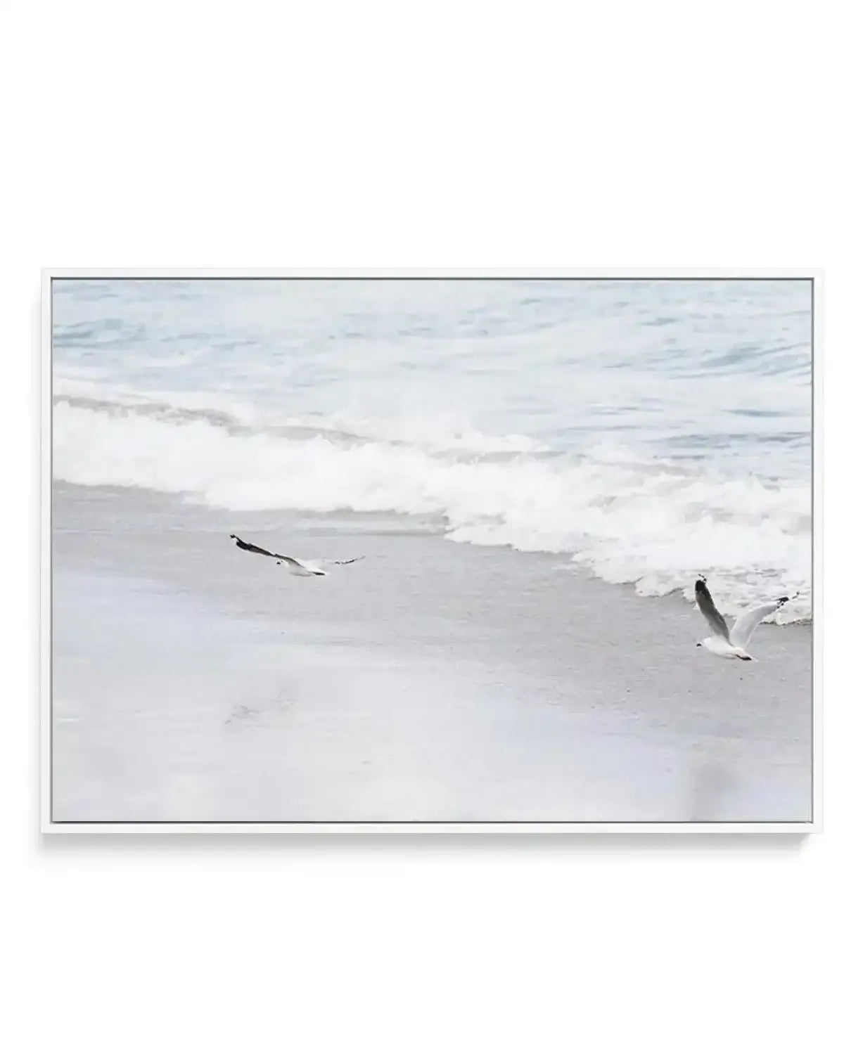 In Flight | Framed Canvas-CANVAS-You can shop wall art online with Olive et Oriel for everything from abstract art to fun kids wall art. Our beautiful modern art prints and canvas art are available from large canvas prints to wall art paintings and our proudly Australian artwork collection offers only the highest quality framed large wall art and canvas art Australia - You can buy fashion photography prints or Hampton print posters and paintings on canvas from Olive et Oriel and have them delive