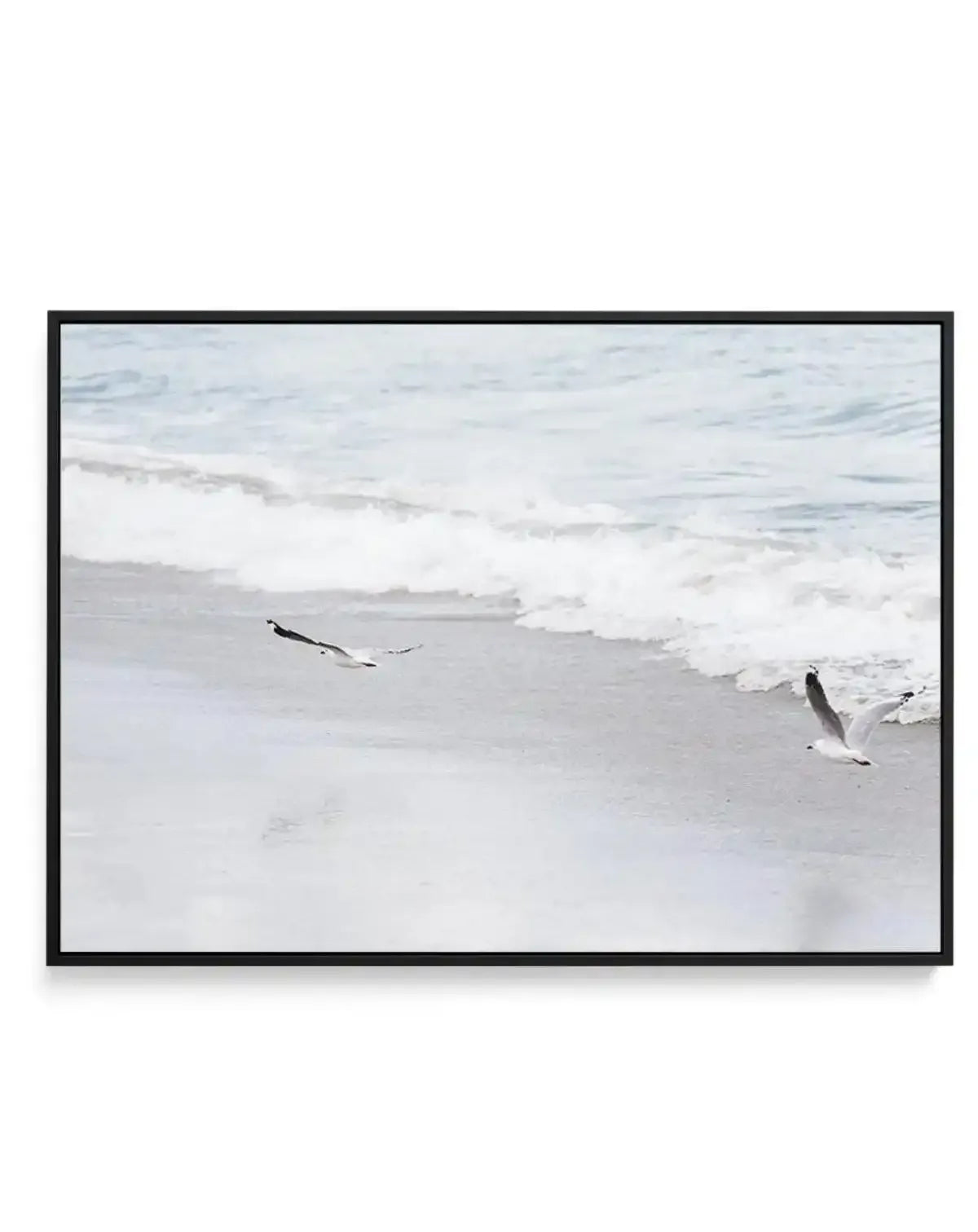 In Flight | Framed Canvas-CANVAS-You can shop wall art online with Olive et Oriel for everything from abstract art to fun kids wall art. Our beautiful modern art prints and canvas art are available from large canvas prints to wall art paintings and our proudly Australian artwork collection offers only the highest quality framed large wall art and canvas art Australia - You can buy fashion photography prints or Hampton print posters and paintings on canvas from Olive et Oriel and have them delive