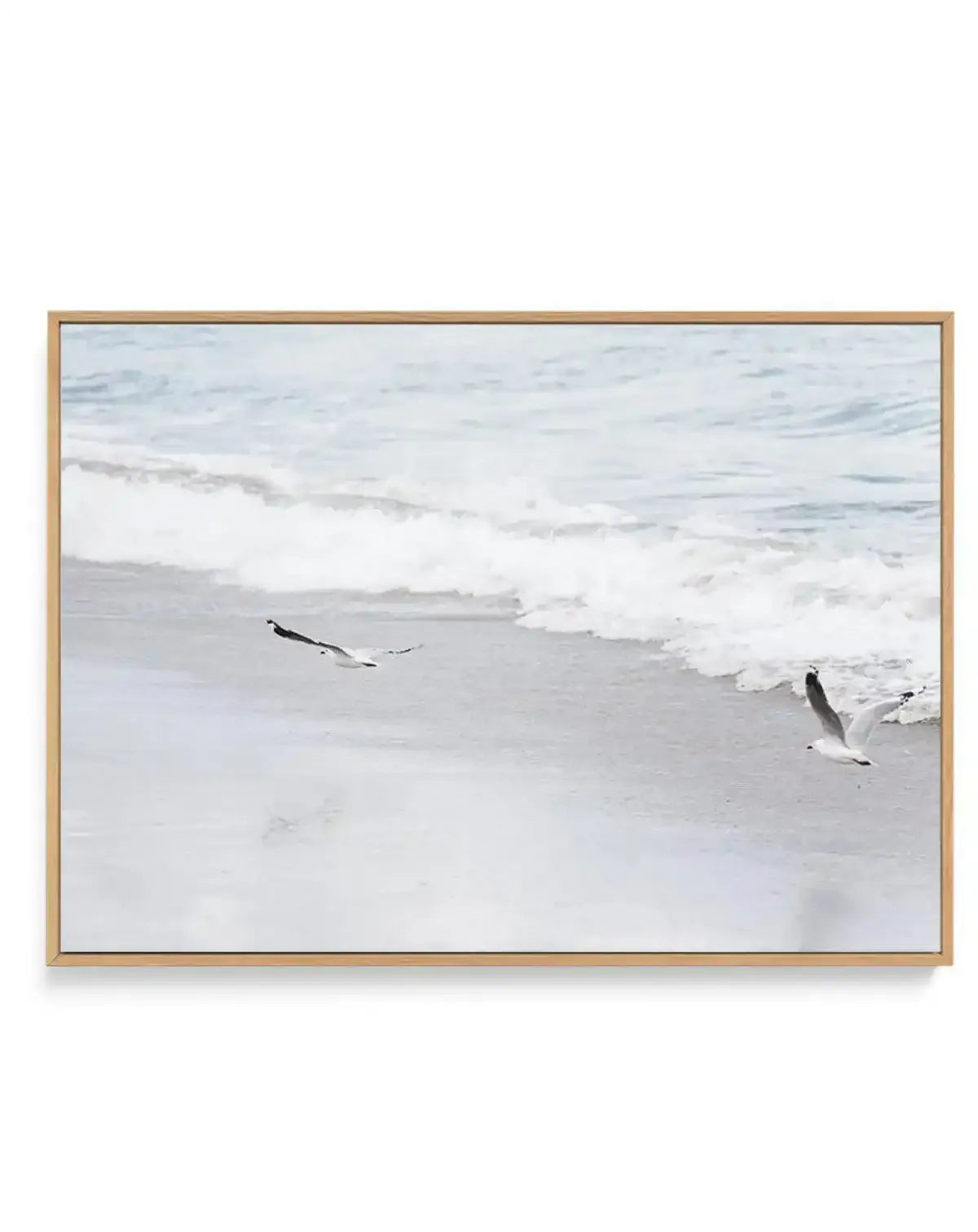 In Flight | Framed Canvas-CANVAS-You can shop wall art online with Olive et Oriel for everything from abstract art to fun kids wall art. Our beautiful modern art prints and canvas art are available from large canvas prints to wall art paintings and our proudly Australian artwork collection offers only the highest quality framed large wall art and canvas art Australia - You can buy fashion photography prints or Hampton print posters and paintings on canvas from Olive et Oriel and have them delive