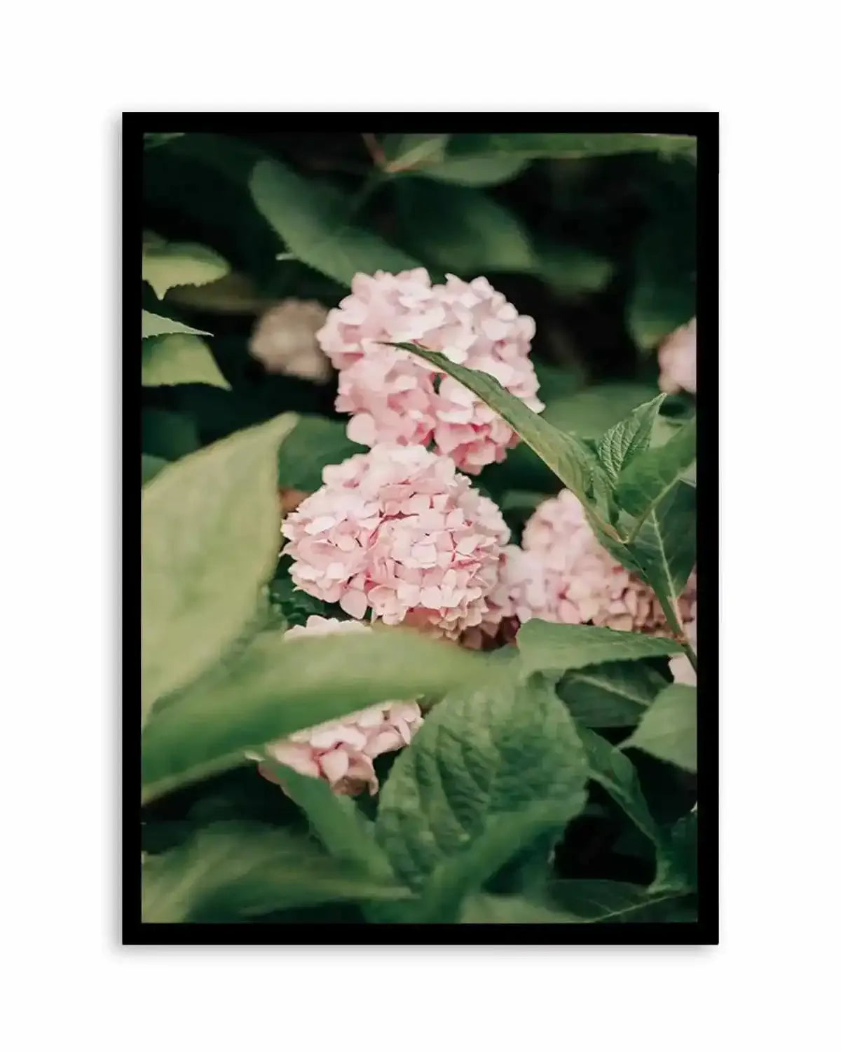 In The Garden Italy by Jovani Demetrie Art Print from Olive et Oriel where you can shop wallpaper and artworks online