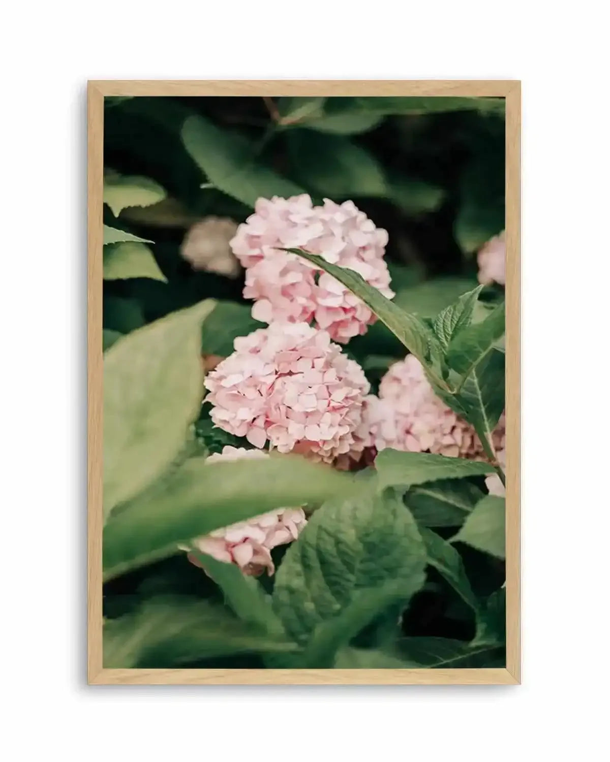 In The Garden Italy by Jovani Demetrie Art Print from Olive et Oriel where you can shop wallpaper and artworks online