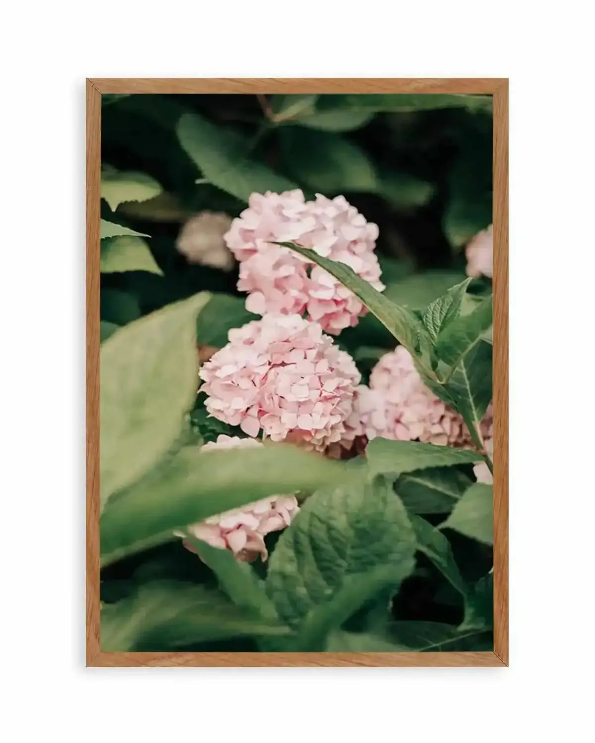 In The Garden Italy by Jovani Demetrie Art Print from Olive et Oriel where you can shop wallpaper and artworks online