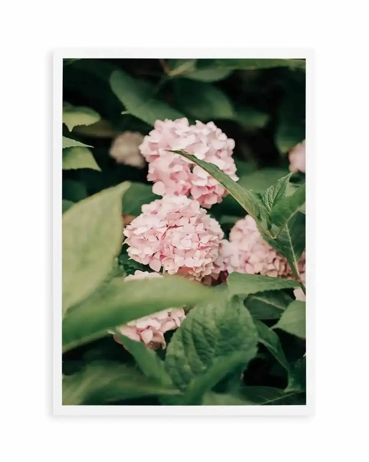 In The Garden Italy by Jovani Demetrie Art Print from Olive et Oriel where you can shop wallpaper and artworks online