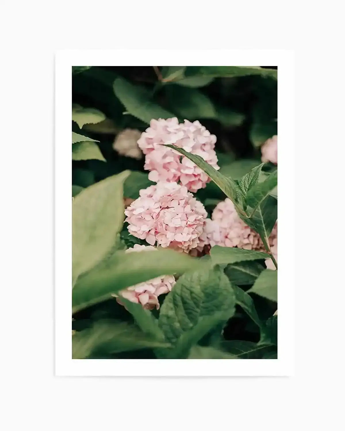 In The Garden Italy by Jovani Demetrie Art Print from Olive et Oriel where you can shop wallpaper and artworks online