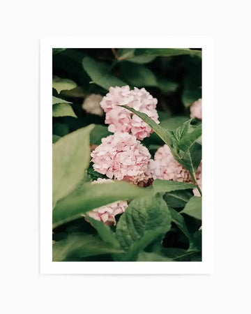 In The Garden Italy by Jovani Demetrie Art Print from Olive et Oriel where you can shop wallpaper and artworks online