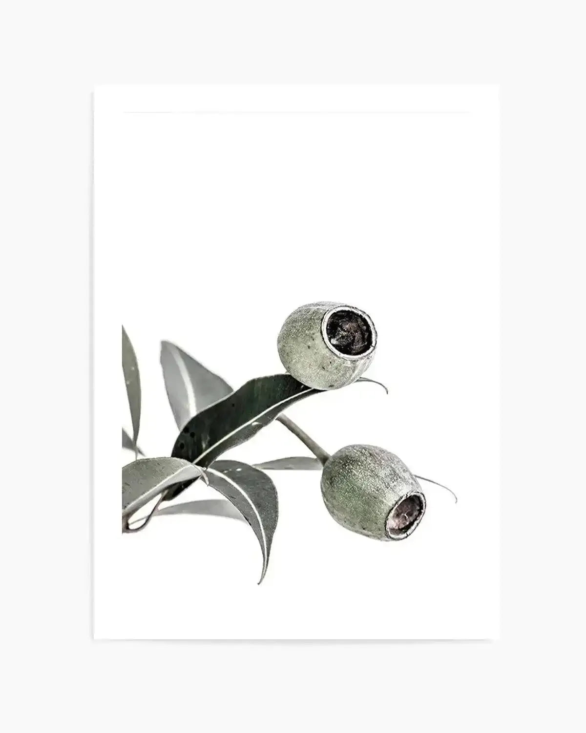 In The Gumtrees I Art Print from Olive et Oriel where you can shop wallpaper and artworks online