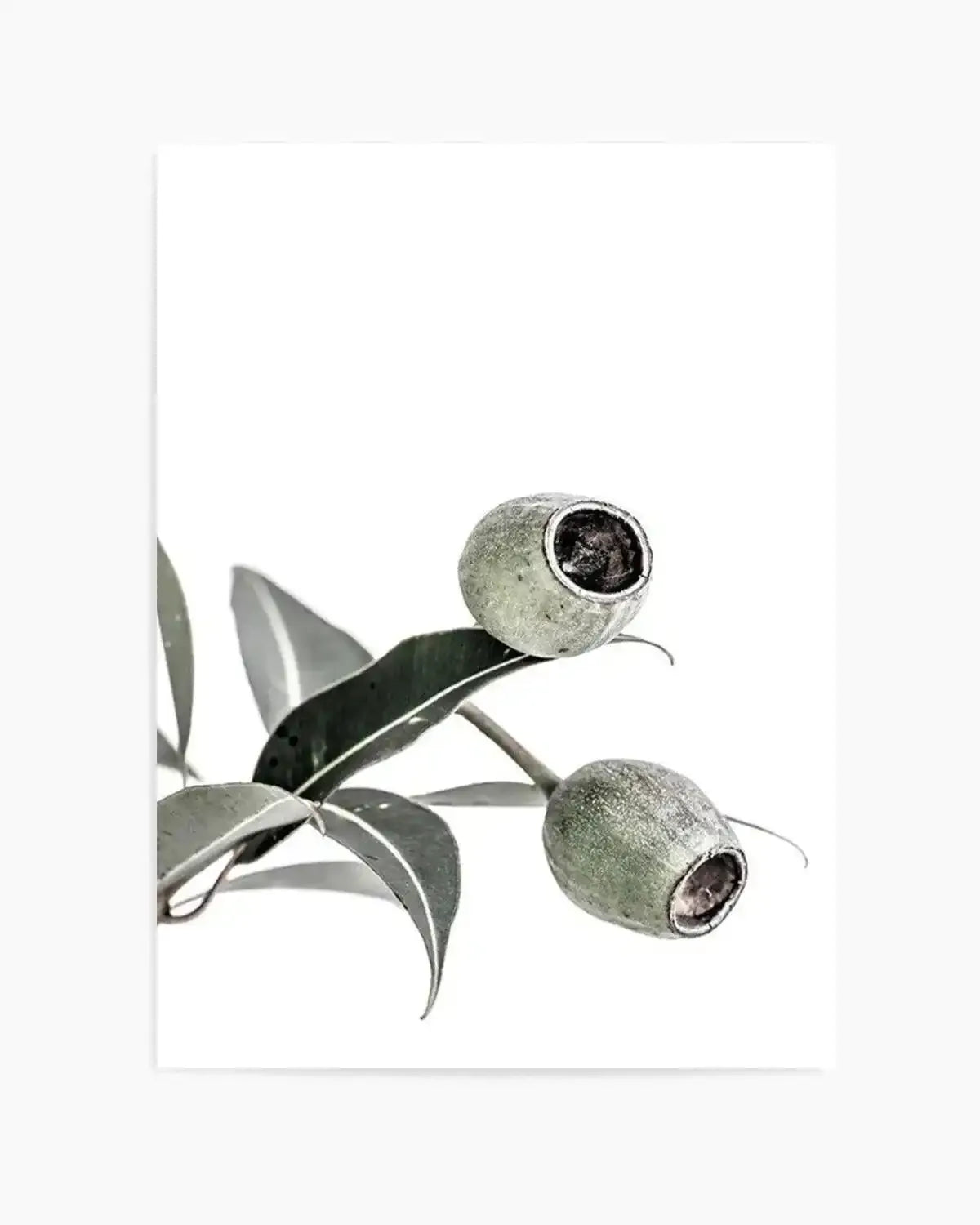 In The Gumtrees I Art Print from Olive et Oriel where you can shop wallpaper and artworks online
