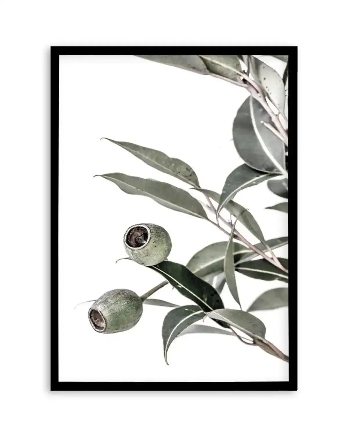 In The Gumtrees II Art Print from Olive et Oriel where you can shop wallpaper and artworks online