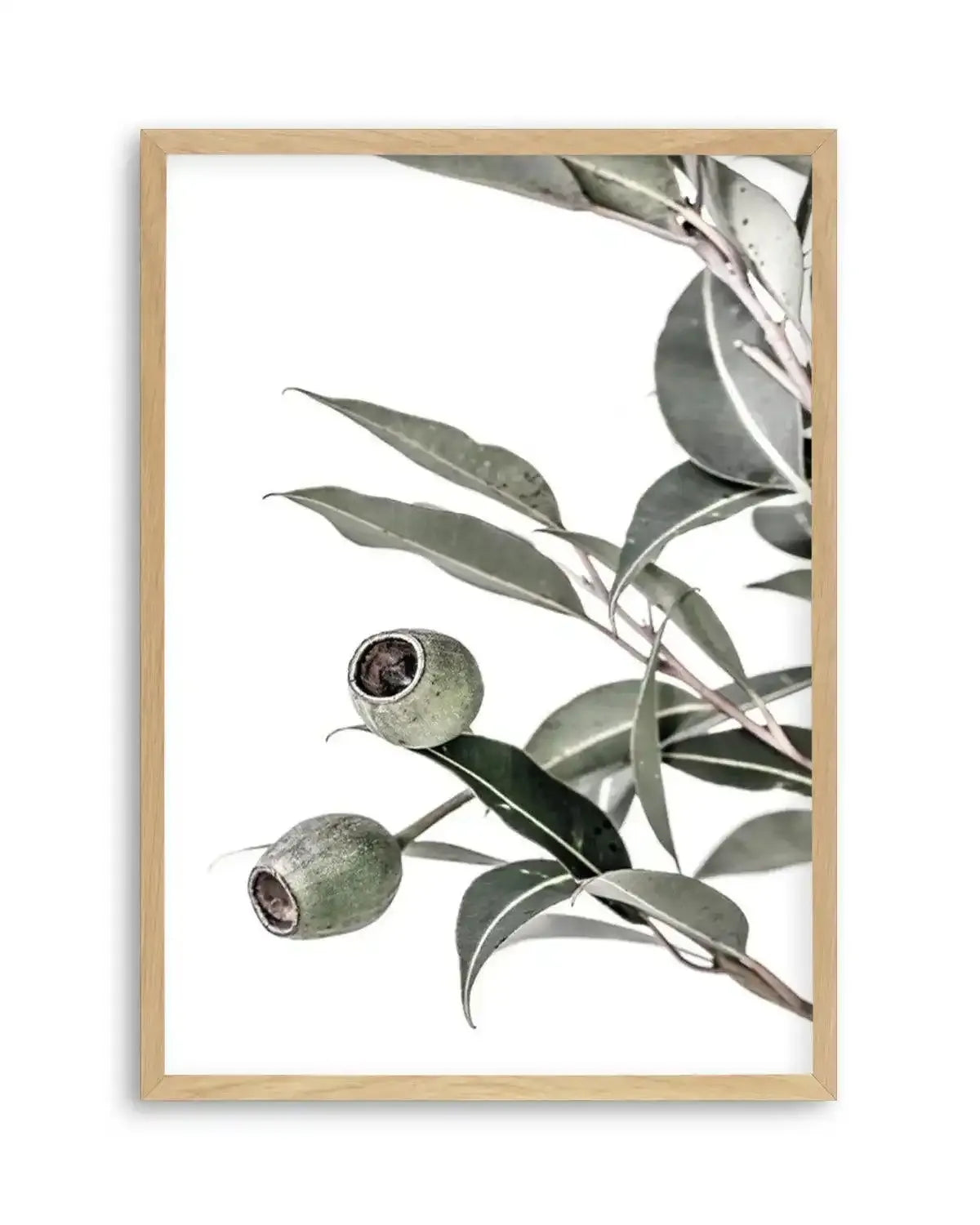 In The Gumtrees II Art Print from Olive et Oriel where you can shop wallpaper and artworks online