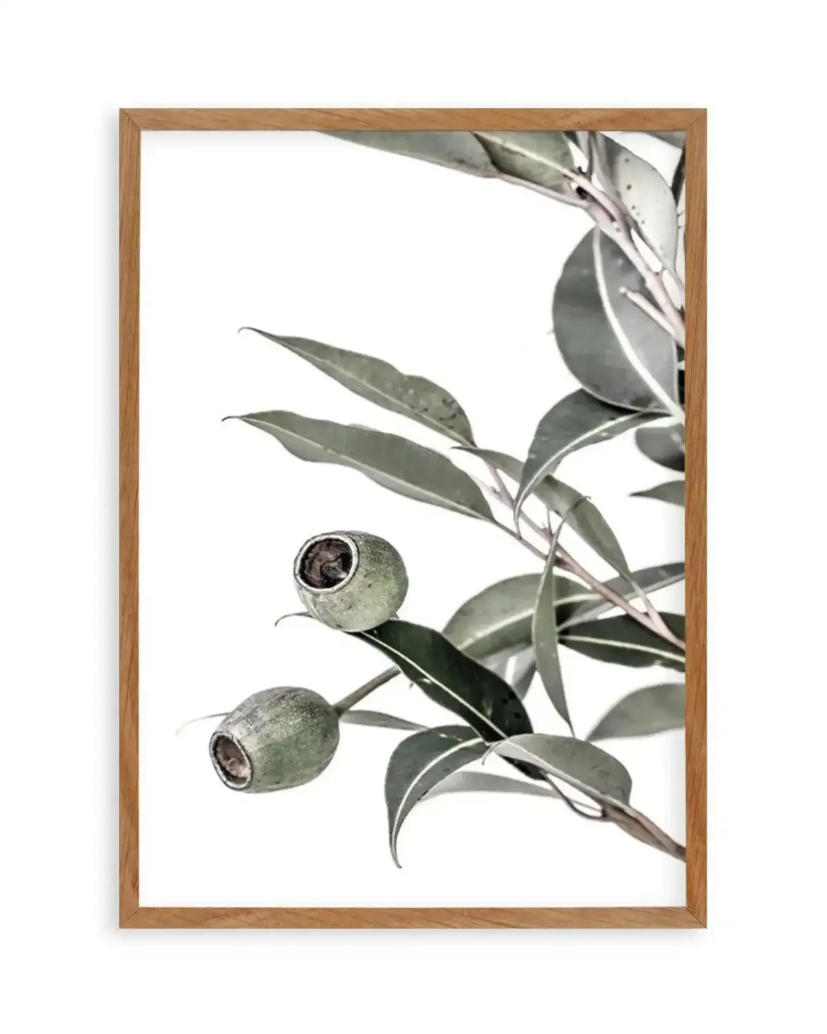 In The Gumtrees II Art Print from Olive et Oriel where you can shop wallpaper and artworks online