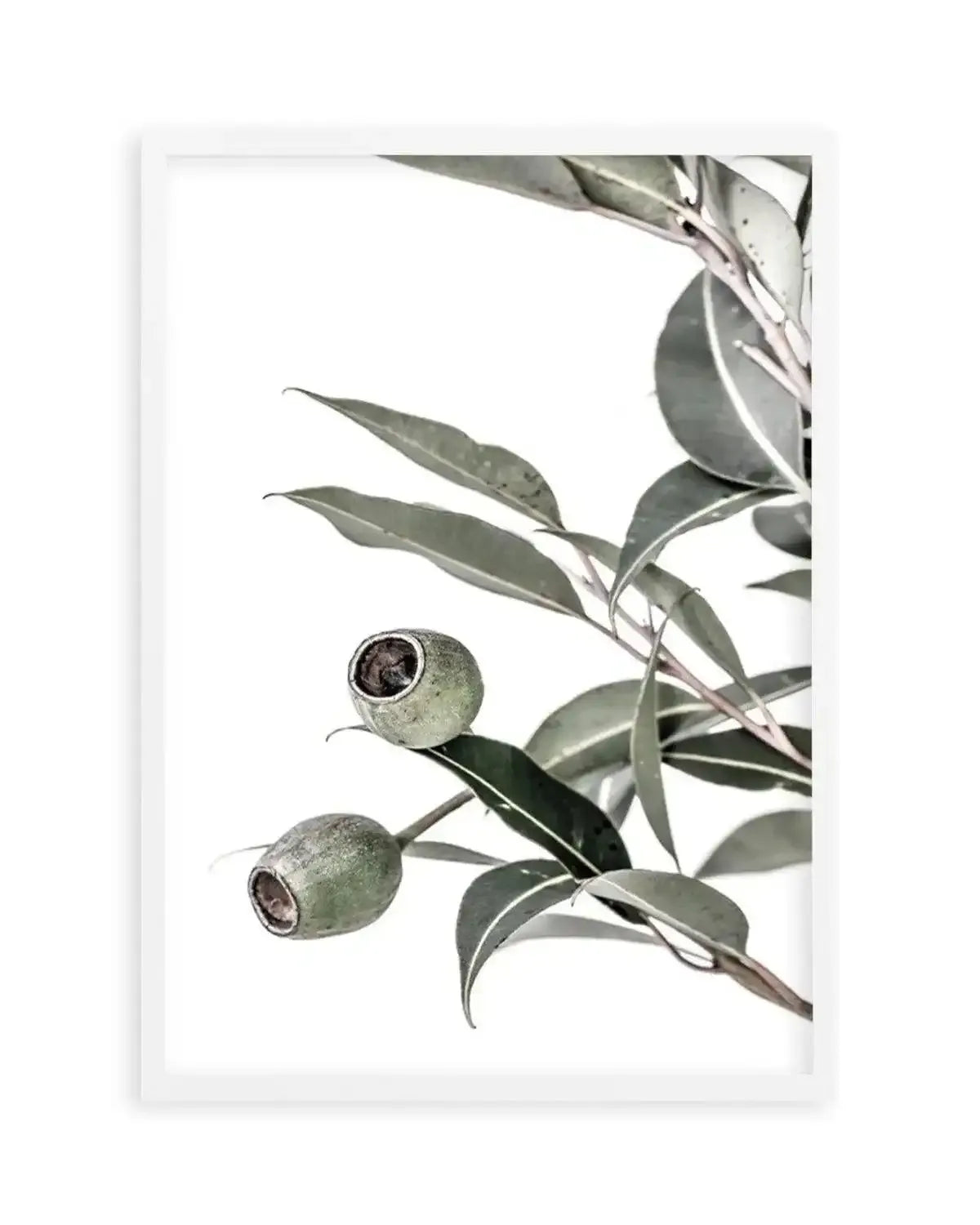 In The Gumtrees II Art Print from Olive et Oriel where you can shop wallpaper and artworks online
