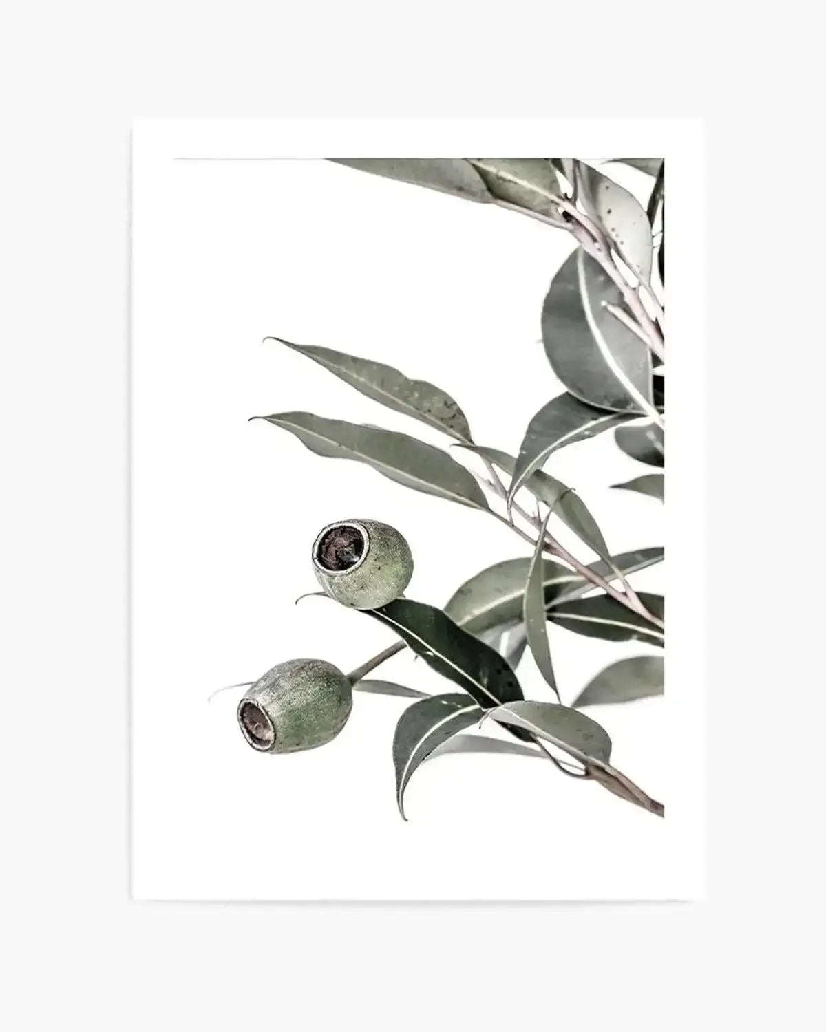 In The Gumtrees II Art Print from Olive et Oriel where you can shop wallpaper and artworks online