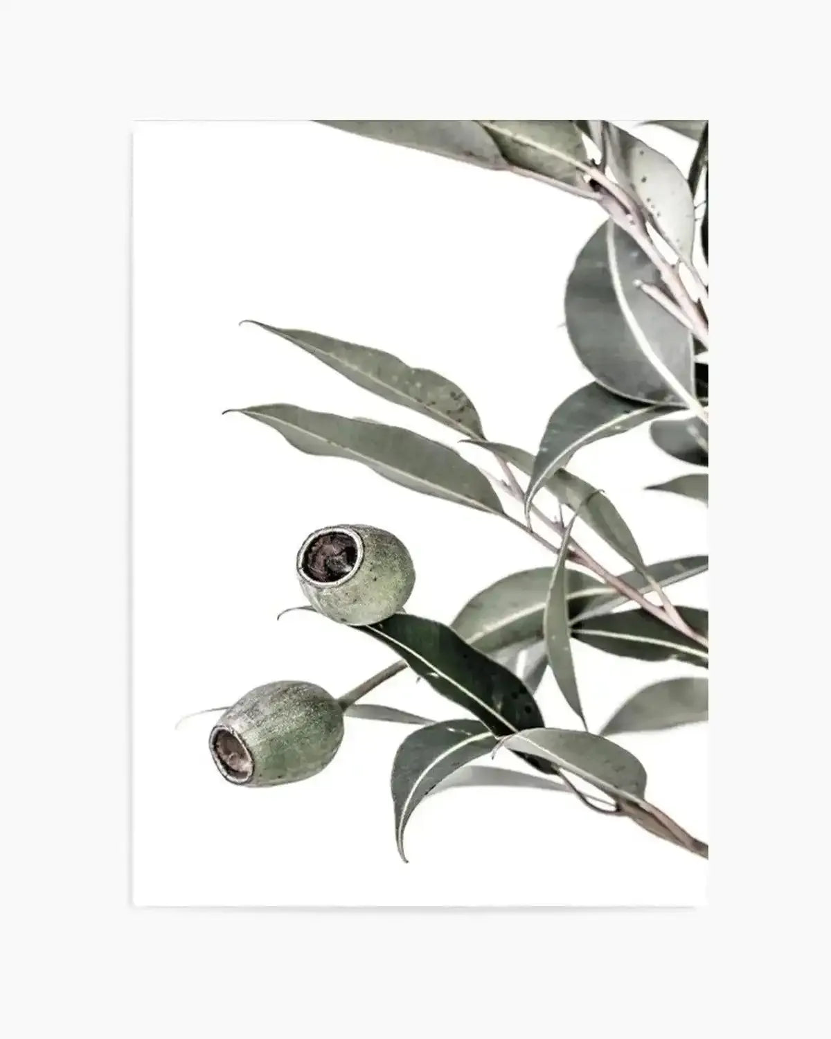 In The Gumtrees II Art Print from Olive et Oriel where you can shop wallpaper and artworks online