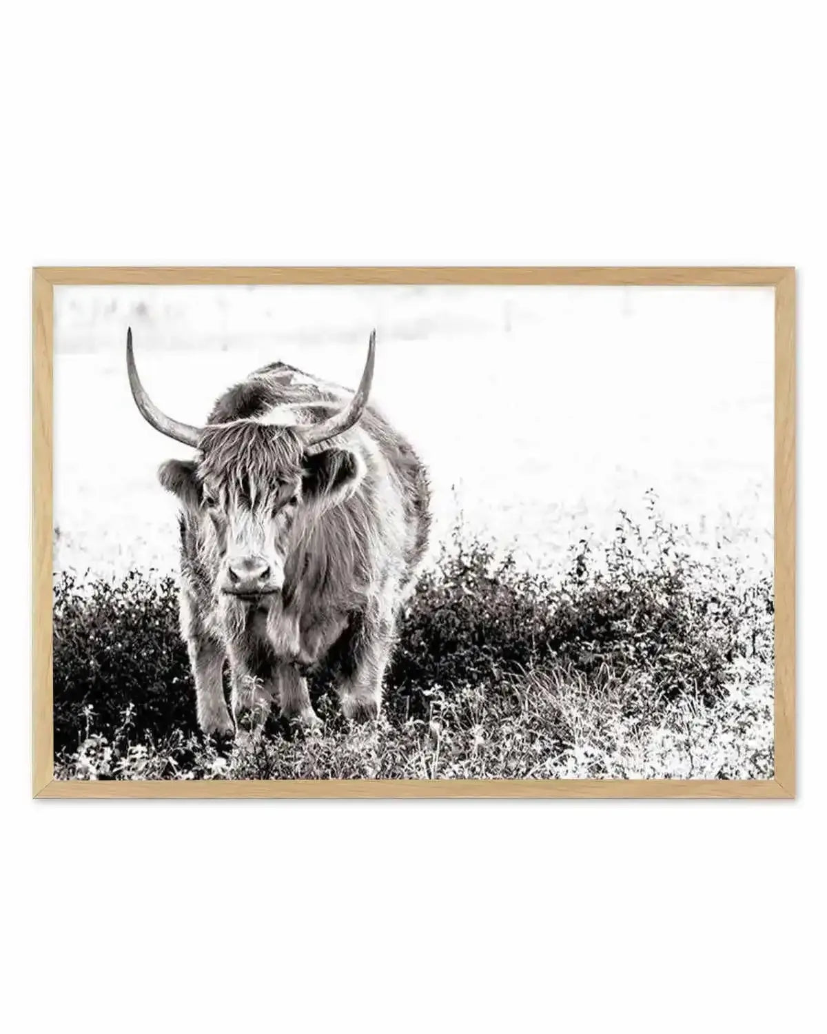 In The Highlands Art Print from Olive et Oriel where you can shop wallpaper and artworks online