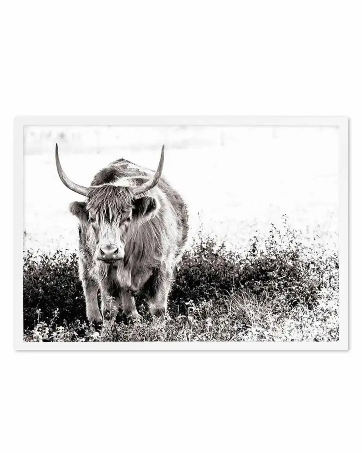 In The Highlands Art Print from Olive et Oriel where you can shop wallpaper and artworks online