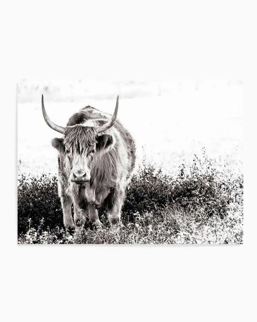 In The Highlands Art Print art print, framed