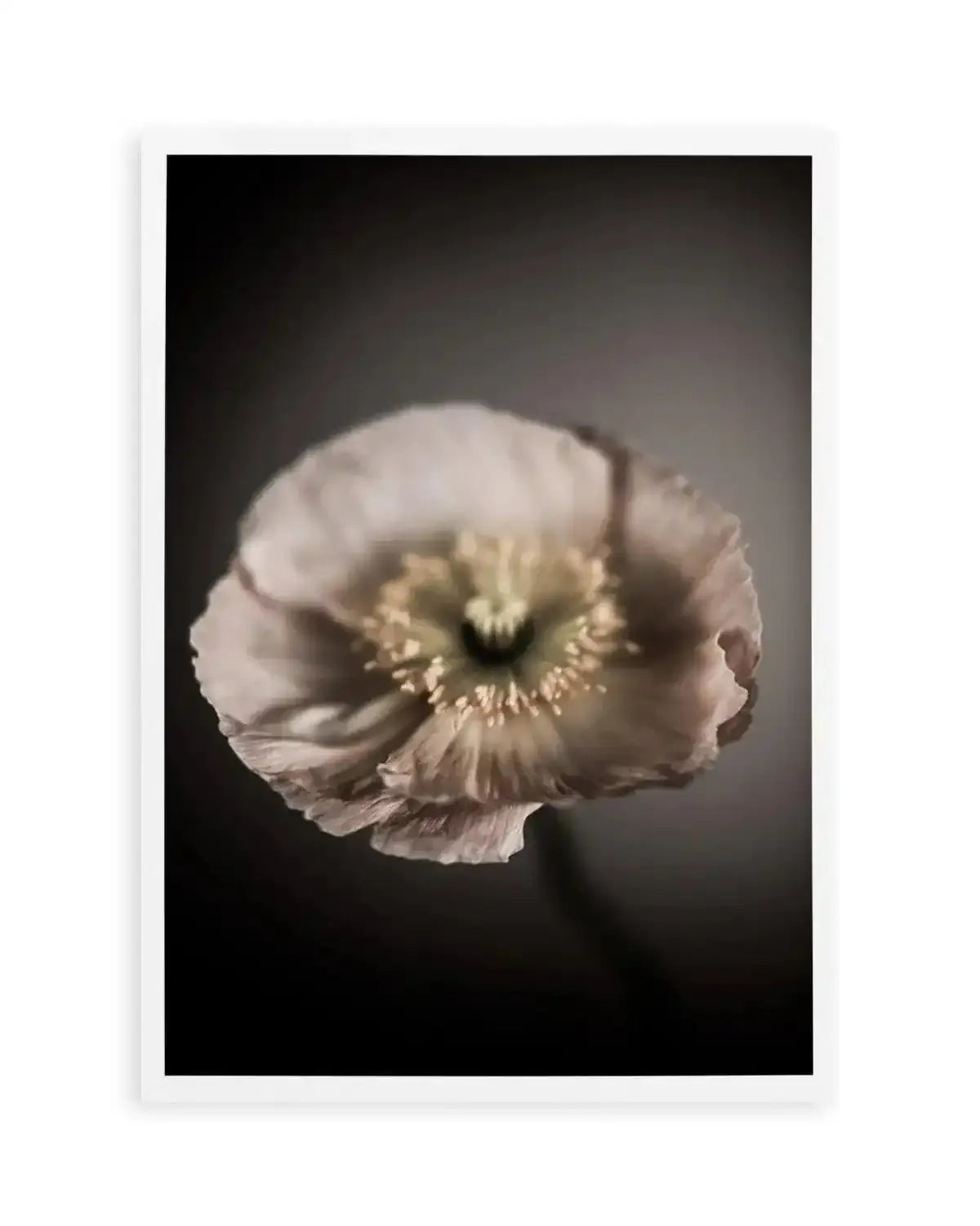 In The Mood Art Print from Olive et Oriel where you can shop wallpaper and artworks online