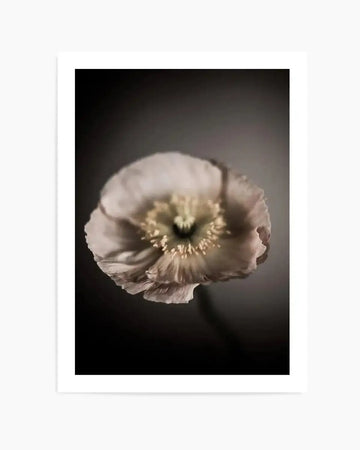 In The Mood Art Print art print, framed