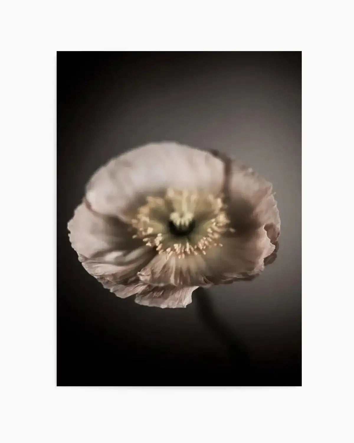 In The Mood Art Print from Olive et Oriel where you can shop wallpaper and artworks online