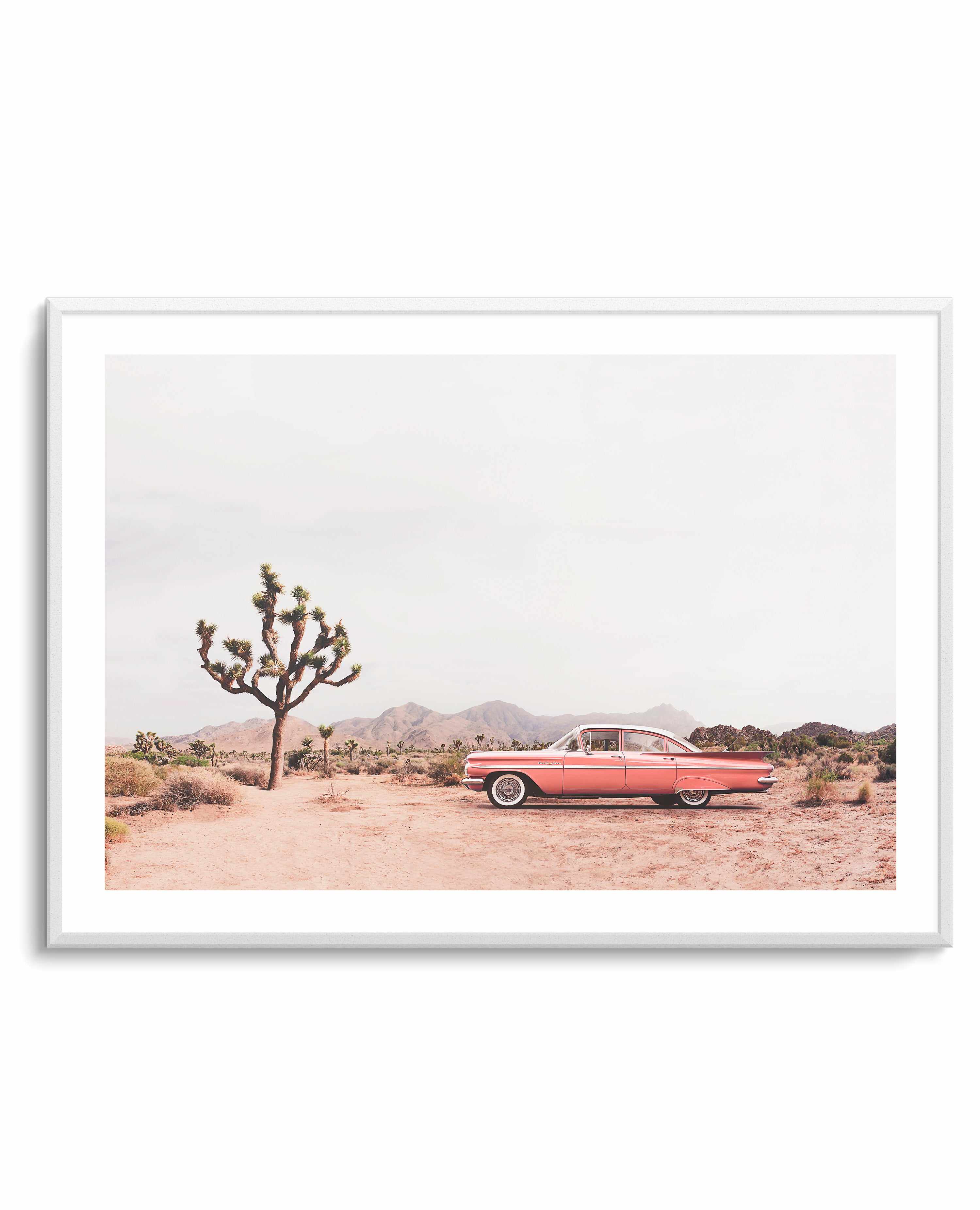 In the desert By Kathrin Pienaar  | Art Print